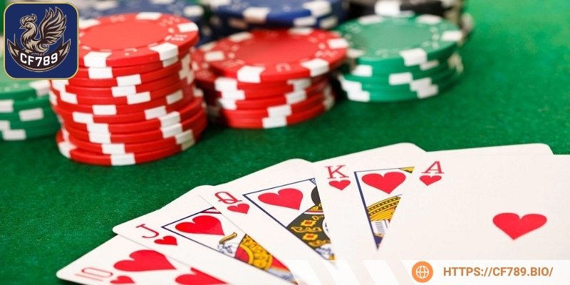Mang lại trải nghiệm công bằng, đầy chuyên nghiệp