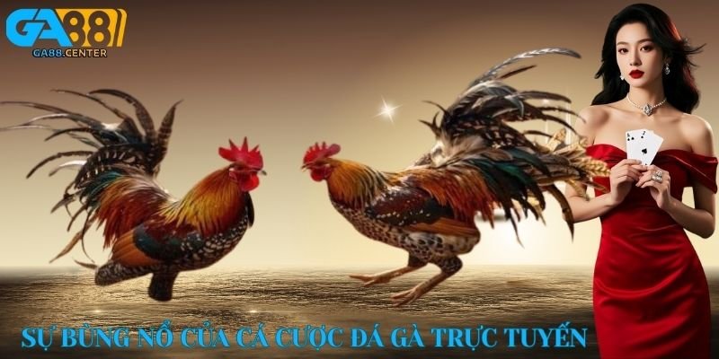 Sự bùng nổ của cá cược đá gà trực tuyến