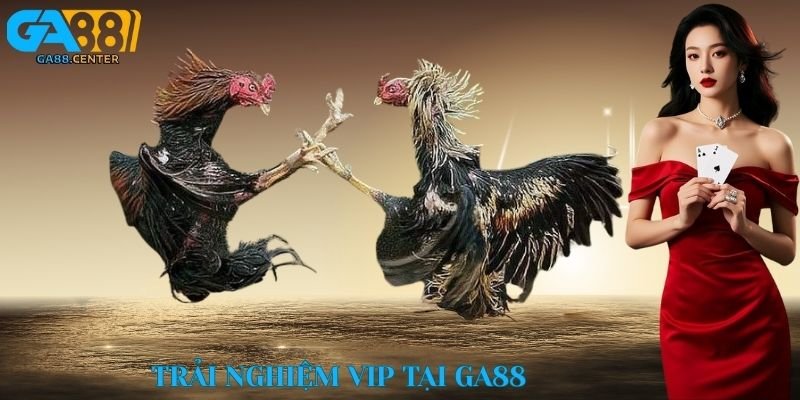 Trải nghiệm VIP tại GA88